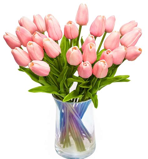 Pink Tulips Bouquet Ubicaciondepersonascdmxgobmx