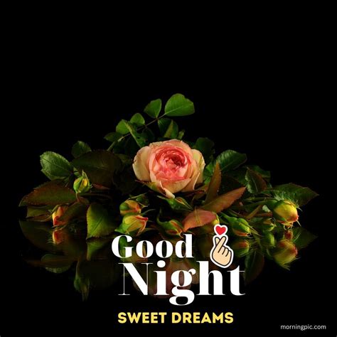 Collection Of Over 999 Stunning Good Night Images Complete Set Of Beautiful Full 4k Good Night