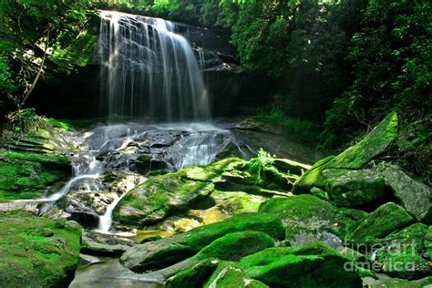 Mossy Forest Waterfall Photograph By Matt Tilghman Pixels