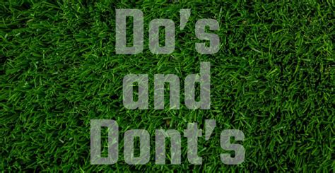 Summer Lawn Care Dos And Donts The Lawn Process