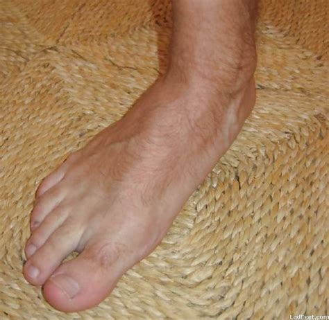 Men And Their Beautiful Feet Porn Pictures Xxx Photos Sex Images