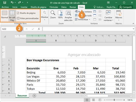 Tipos De Vistas En Excel