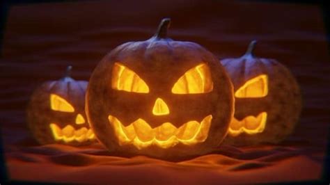 When Is Halloween And Why Is It Celebrated All You Need To Know