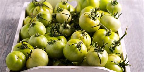 Green Tomatoes Trivia Buying Guide And More Texasrealfood