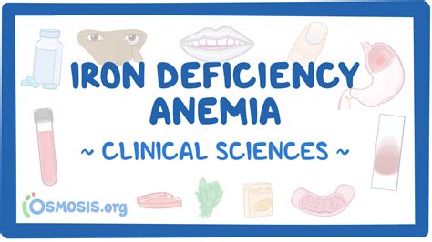 Iron Deficiency Anemia Clinical Sciences Osmosis Video Library