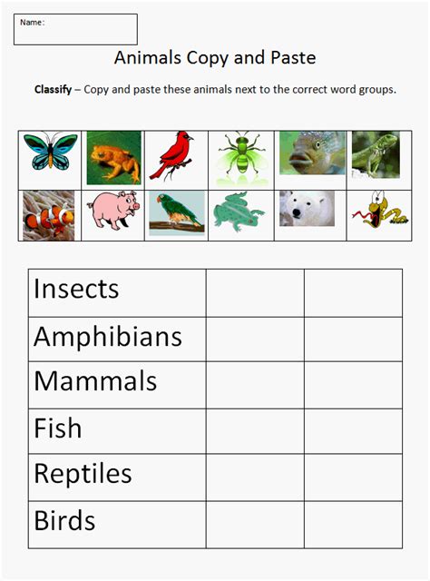 Animals Classification Worksheet Worksheet