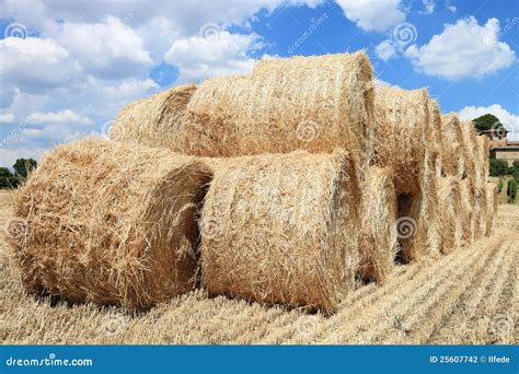 Pile Of Hay Bales Stock Photo Image Of Golden Circle 25607742