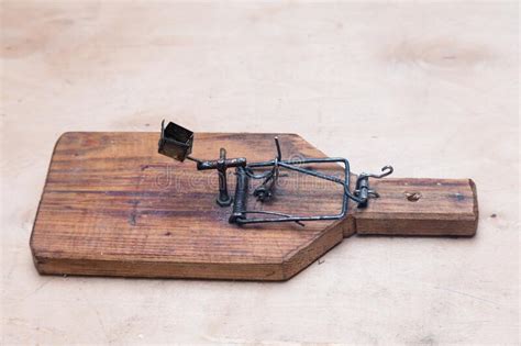 Diy Homemade Rat Trap Or Mouse Trap Stock Image Image Of Shot