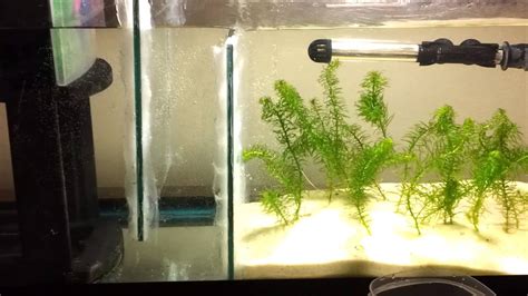 It was a fun project and i am pleased with the my annual deep clean of my freshwater aquarium sump i use to filter my discus aquarium. Freshwater 55 gallon DIY Sump/Refugium V2 - YouTube