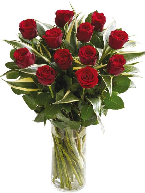 1 Dz Standard Red Roses With Greens Valentine Flower Arrangements
