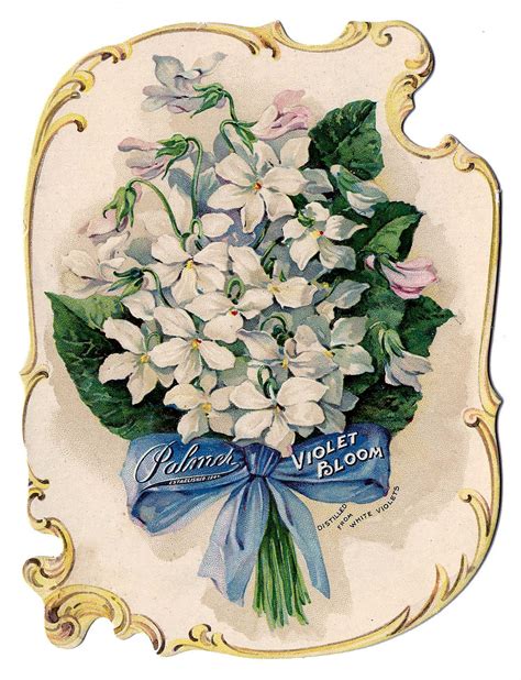 Antique Ephemera Amazing Romantic Violets Perfume Ad