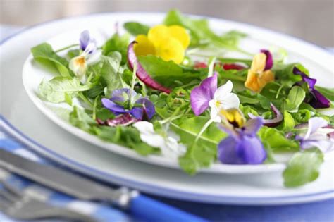 Edible flowers where to buy near me. Where To Buy Edible Flowers Near Me : 16 in each, male ...