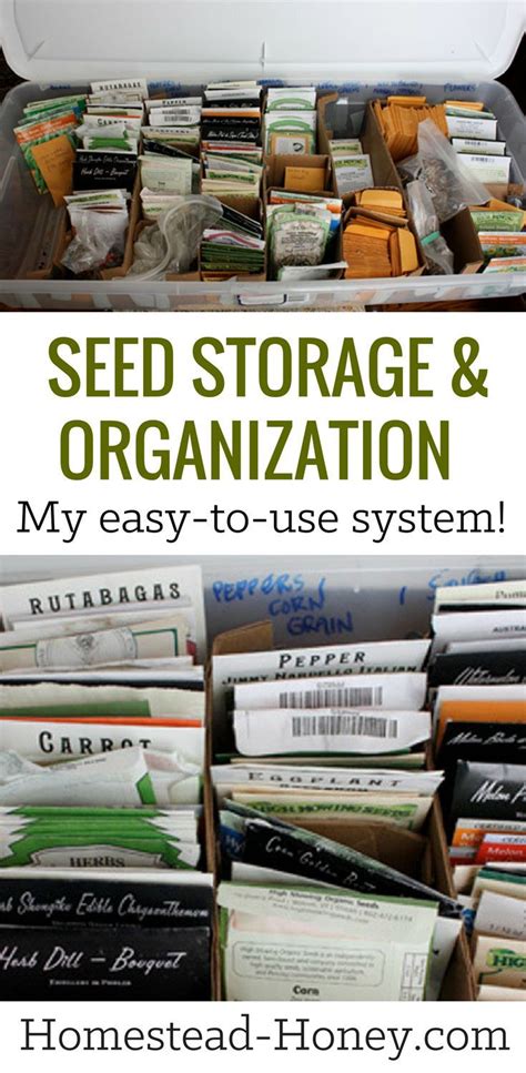 A Simple Seed Storage And Organization System Homestead Honey Seed