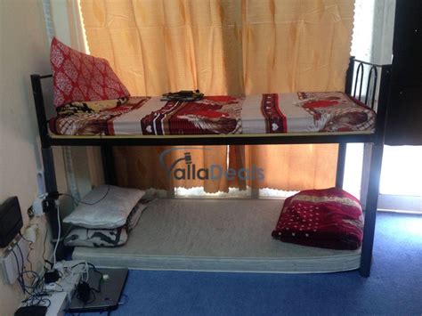 Bed Space For Rent In Uae Best Deal On Yalla Deals Real Estate Bed