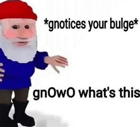 Youve Been Gnomed Rmemes