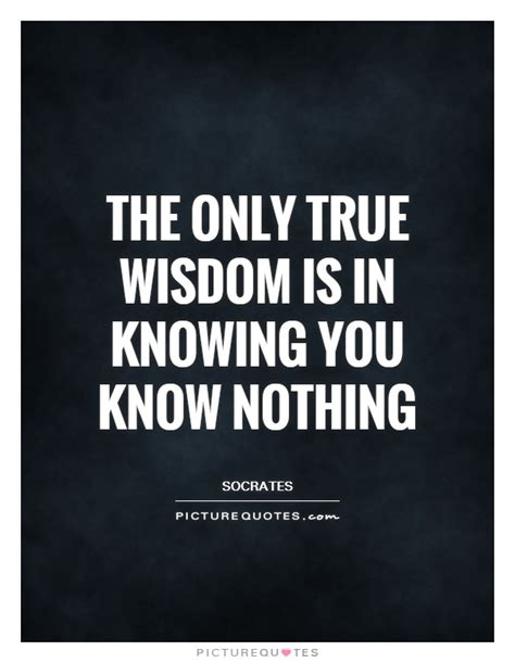 The Only True Wisdom Is In Knowing You Know Nothing Picture Quotes