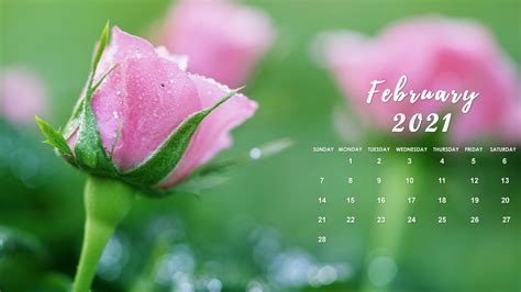 Cute February 2021 Calendar Desktop Wallpaper I Think Were All Ready