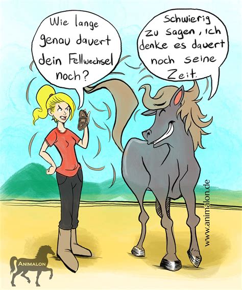 Pin auf #reiterwitze / #pferdewitze