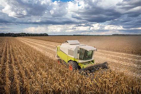 Combine Harvester Harvesting On Corn Field Mechanized Harvesting