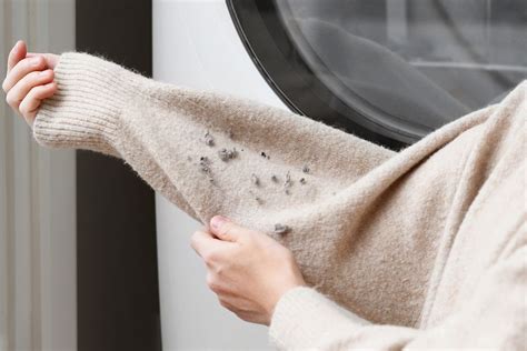 Reduce And Remove Lint From Clothes And Upholstery