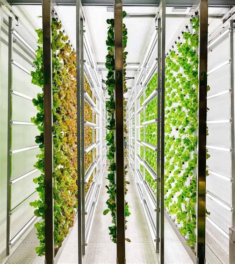 Meet The Future Of Farming Our High Tech Farms Are Easily