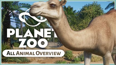 All New Animals Planet Zoo Arid Animal Pack Youtube