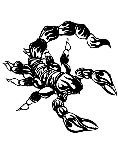 Scorpion Coloring Pages To Download And Print For Free