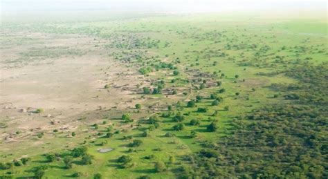 The Great Green Wall — Wildlife And Welfare