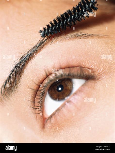 The Eyebrows Hi Res Stock Photography And Images Alamy