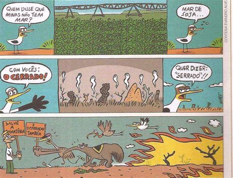 História Em Quadrinhos Sobre Desmatamento