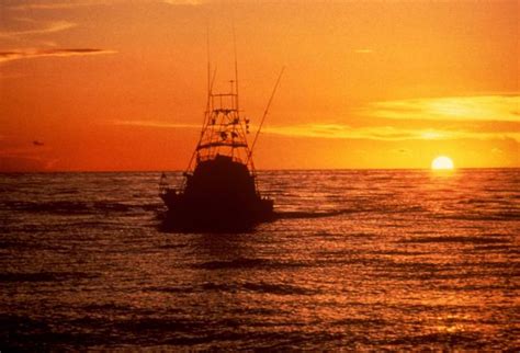 Sport Fishing Boat Returning To Port At Sunset Photo Pictures