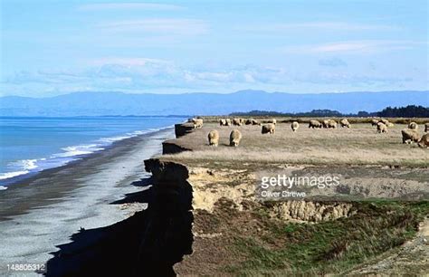 Coastal Erosion New Zealand Photos And Premium High Res Pictures