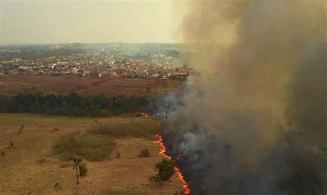 Plano médio fire burns in a bush in the brazilian pantanal poconé, mato grosso, brasil31 de julho de 2020fonte: Parlamentares visitam áreas queimadas no Pantanal de Mato ...