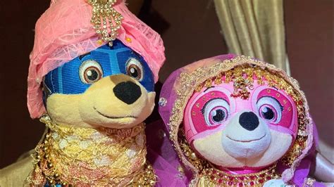 Chase And Skye Get Married Indian Wedding Video Paw Patrol Chase