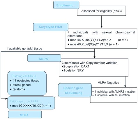 Disorders Of Sex Development Genetic Characterization Of A Patient Cohort