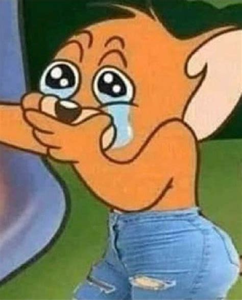 30 Crying Tom And Jerry Reaction Meme