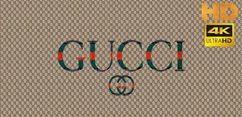 Gucci, converse, custom, snack, yellow, snake, white background. Gucci' Wallpaper HD | 4k for PC - Free Download & Install ...