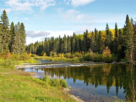 Northern River In Boreal Forest Photograph By Dougall Photography Pixels