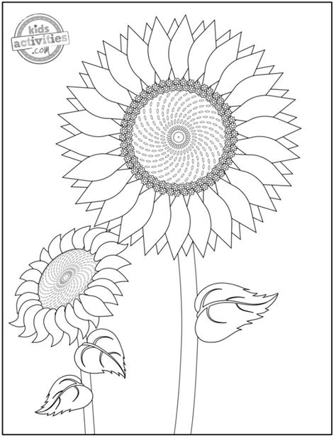 Find the perfect reggie bush stock photos and editorial news pictures from getty images. View Rose Bush Coloring Pages | iremiss