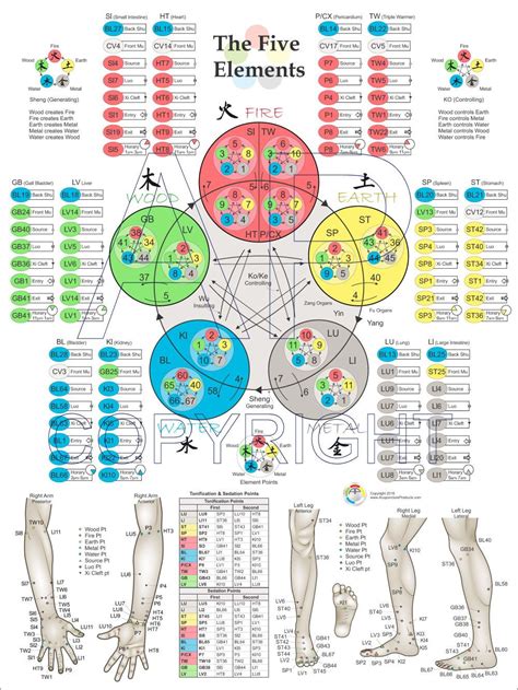 Posters Acupuncture Points Chart Acupuncture Points Acupuncture Charts
