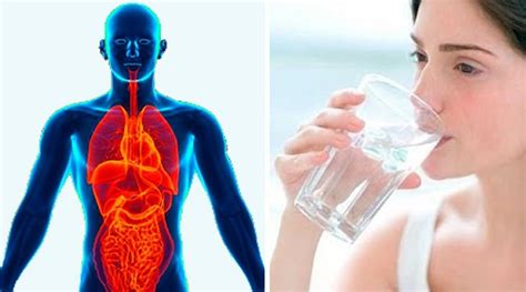 See What Happens When You Drink Water On An Empty Stomach Healthyholics