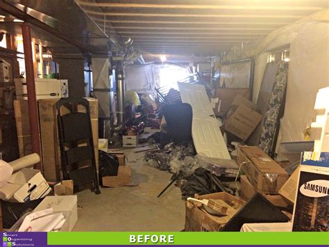 Once a snake is inside, it can be difficult to find. The Big Basement Clean Out | SOS: Smart Organizing Solutions