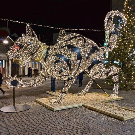 We did not find results for: The Yule Cat is a monster from Icelandic folklore a huge ...
