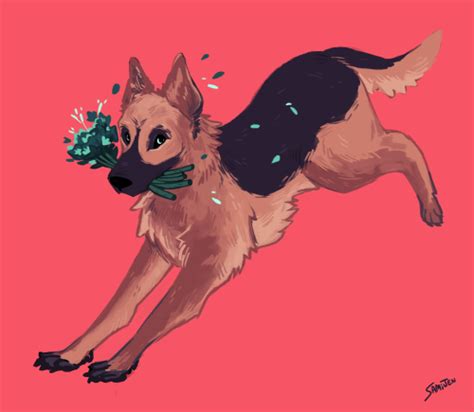 This large and charming basset hound is. german shepherd drawing | Tumblr