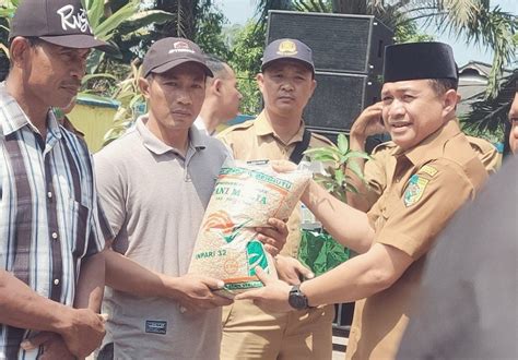 Bupati Zahir Beri Ton Bibit Padi Ke Petani Yang Padinya Gagal Panen