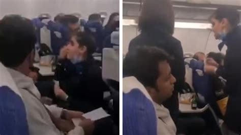“no soy tu sirvienta” una azafata se enfureció con un pasajero quejoso en pleno vuelo infobae