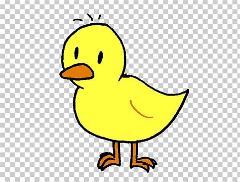 Duck Undertale Flowey Author Bird Png Clipart Adolescente Animaatio