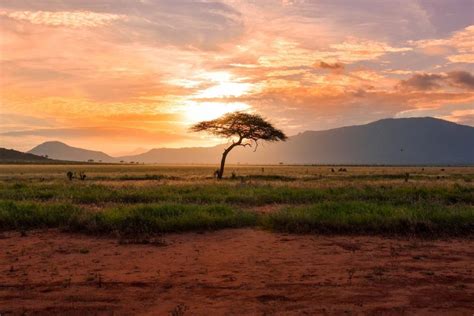 Magical Sunsets And Starry Nights Uncovering Kenyas Best Stargazing