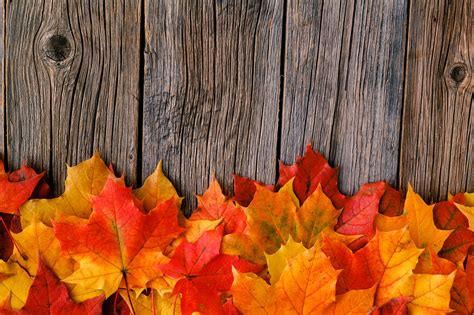 prepare your outdoor living space for fall all things outdoors