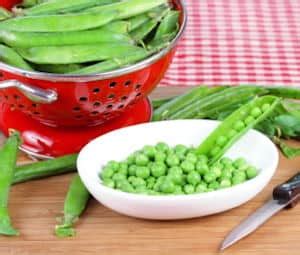 Freezing temperatures can cause problems for those with garden ponds, but it is easy to protect the fish and other pond wildlife with these top five tips. How To Freeze Vegetables : TipNut.com